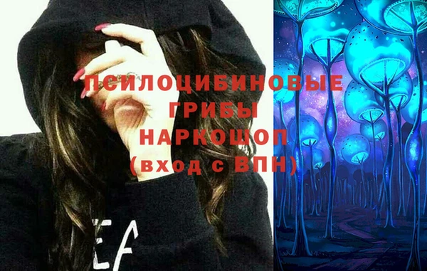 дмт Вяземский